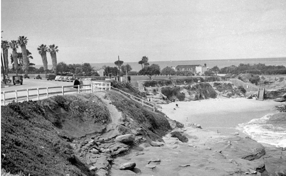 An image of a wooden bridge along a coastal bluff.