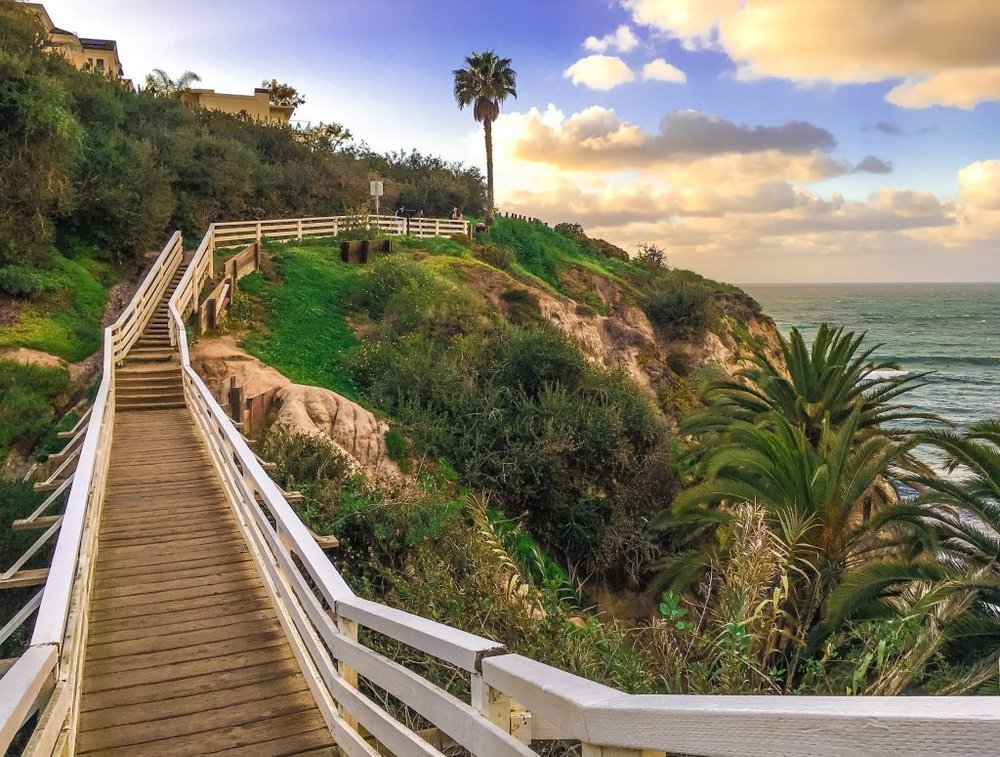 An image of a wooden bridge along a coastal bluff.