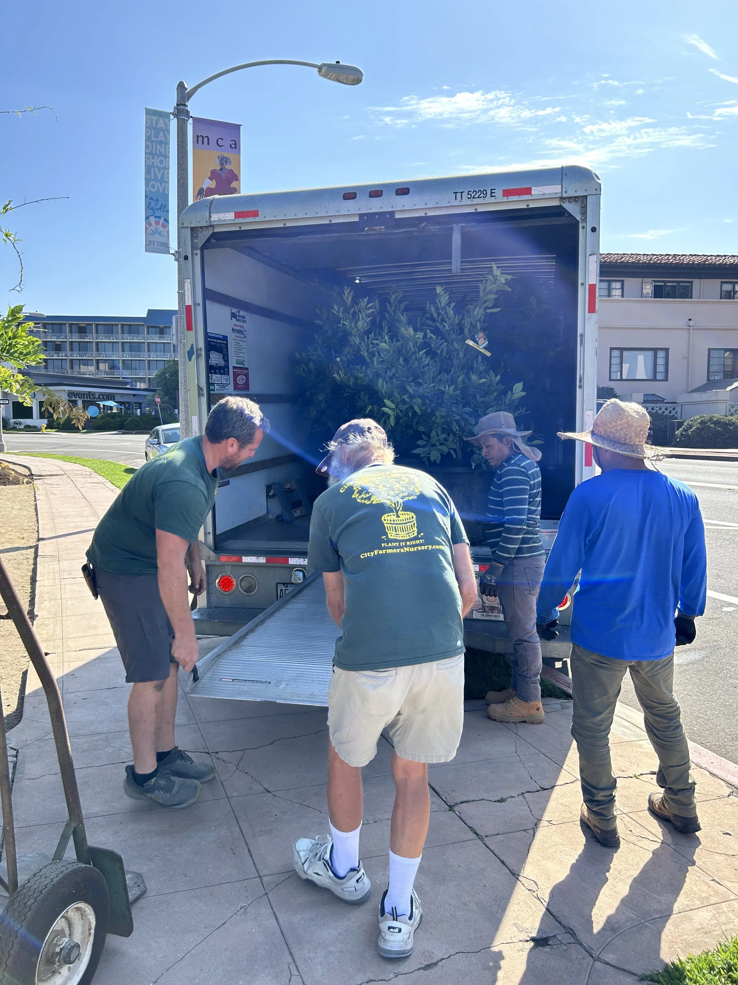 Sam Tall and Chuck from City Farmers Nursery drop off the citrus trees! Juan Carlos and Antonio help place the trees. 
