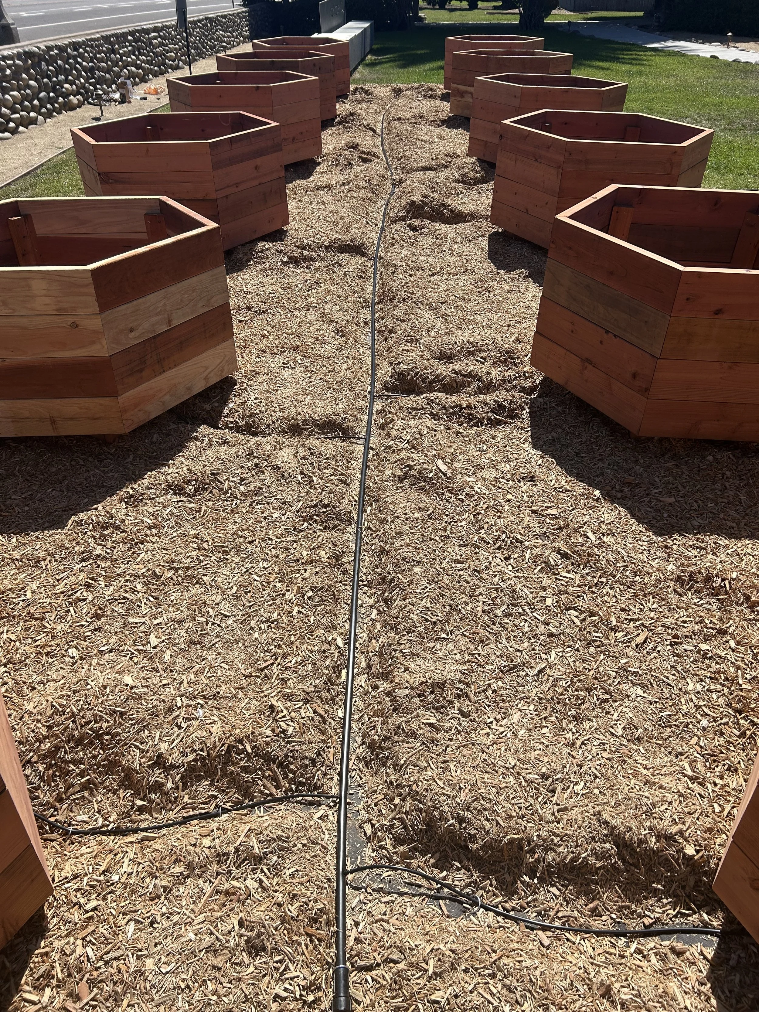 Irrigation installation begins!