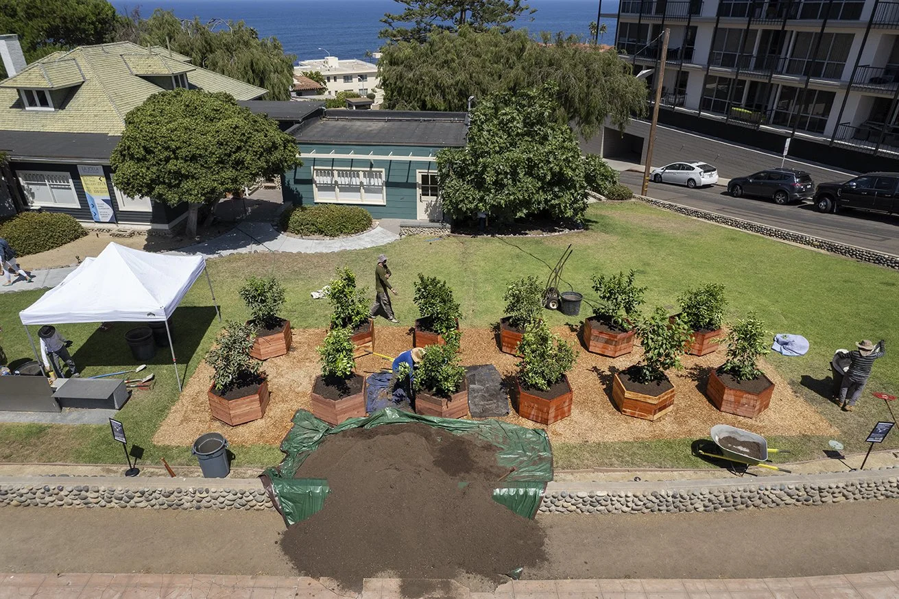 Aerial shot of installation of "Exterior Orchard"