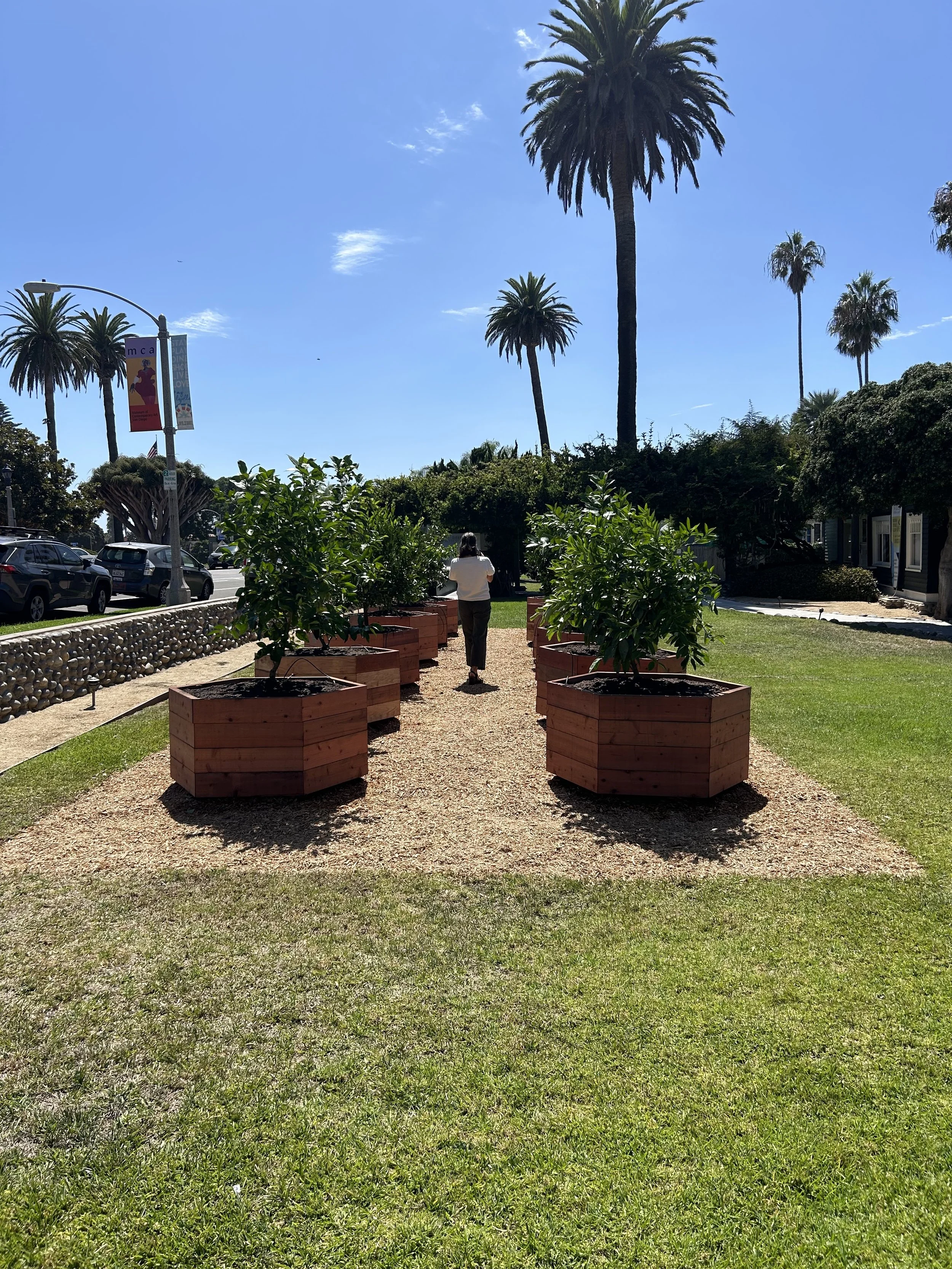 Executive Director Lauren Lockhart takes a walk through "Exterior Orchard" 