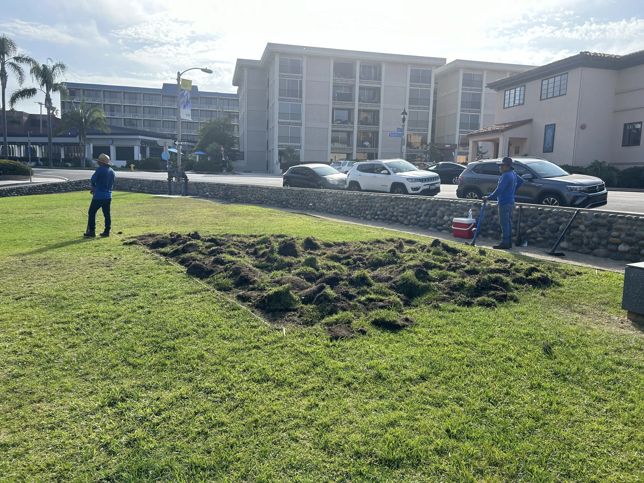 Juan Carlos and Antonio of Juan Carlos Lawn Care continuing to remove the sod