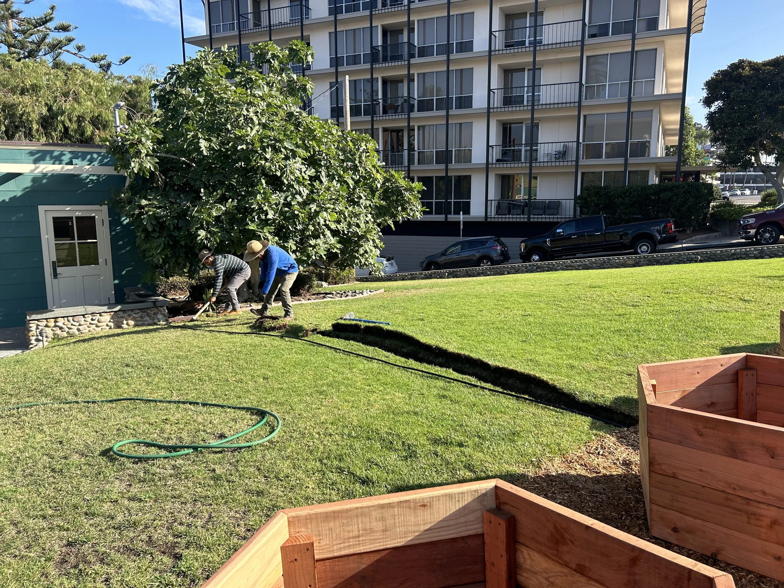Juan Carlos and Antonio of Juan Carlos Lawn Care conceal irrigation line.  