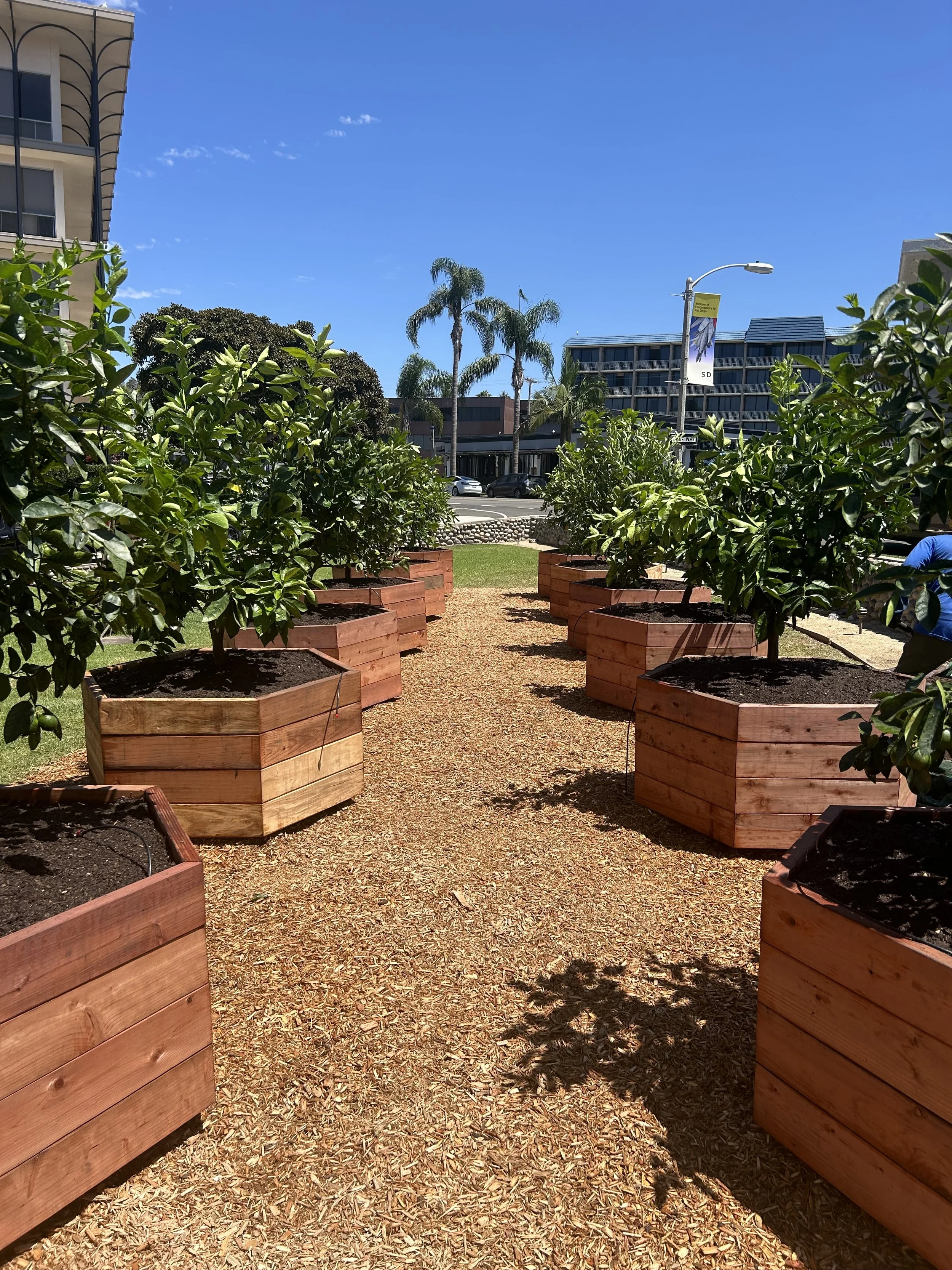 "Exterior Orchard" is installed!