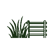 A small garden scene with grass and a fence