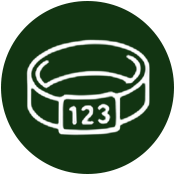 Green circular icon with a white outline of a poultry tag and the number 123 on it