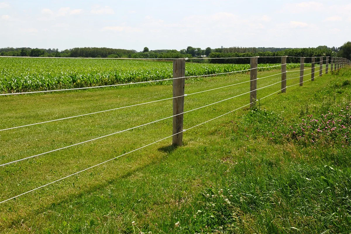 A rural landscape with a green field, a wooden fence with white wire, and a distant line of trees under a partly cloudy sky.
