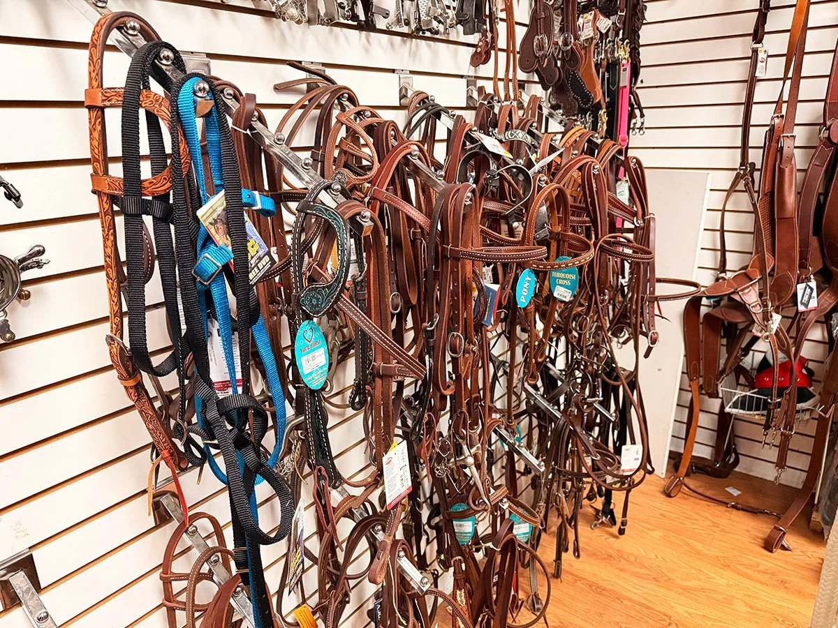 Wall display of various leather horse bridles and halters with metal buckles and rings in a store.