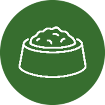 Icon of a dog food bowl filled with food on a green circular background.
