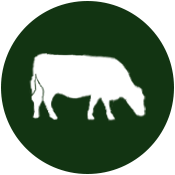White silhouette of a bison inside a green circle.