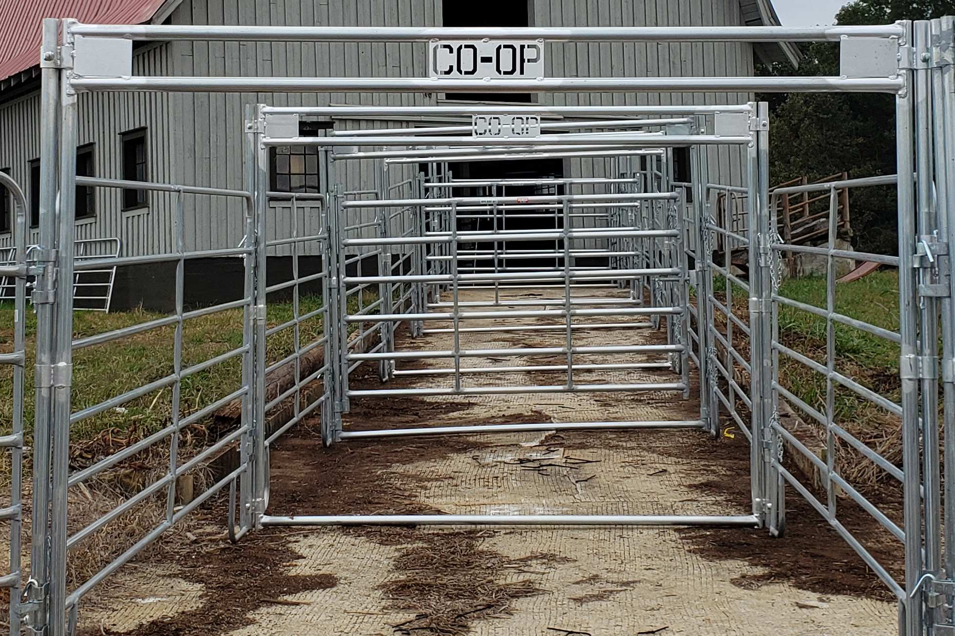 A pathway lined with metal livestock gates leading toward a barn with a wooden exterior. The gates are silver-colored and arranged to create multiple enclosures.