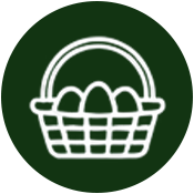 Basket filled with eggs, set against a green background