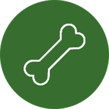 Outline of a dog bone on a green circular background.