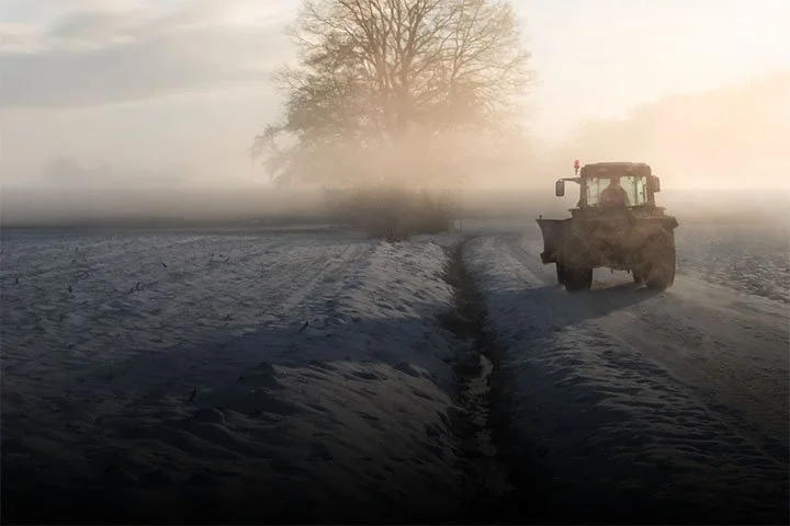 A tractor driving through a snow-covered field with a large tree in the background, foggy or misty atmosphere during sunrise or sunset.