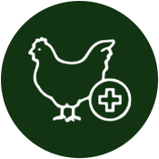 Outline of a chicken with a medical cross symbol.