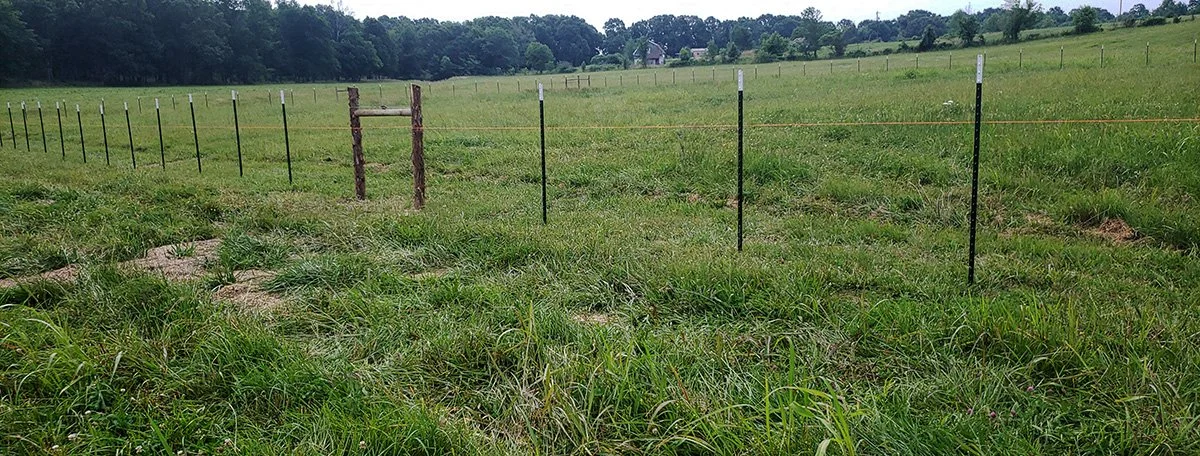 A grassy pasture enclosed by a black electric fence with orange warning tape, in a rural area with trees and houses in the background.