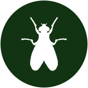 Silhouette of a fly on a dark green circular background