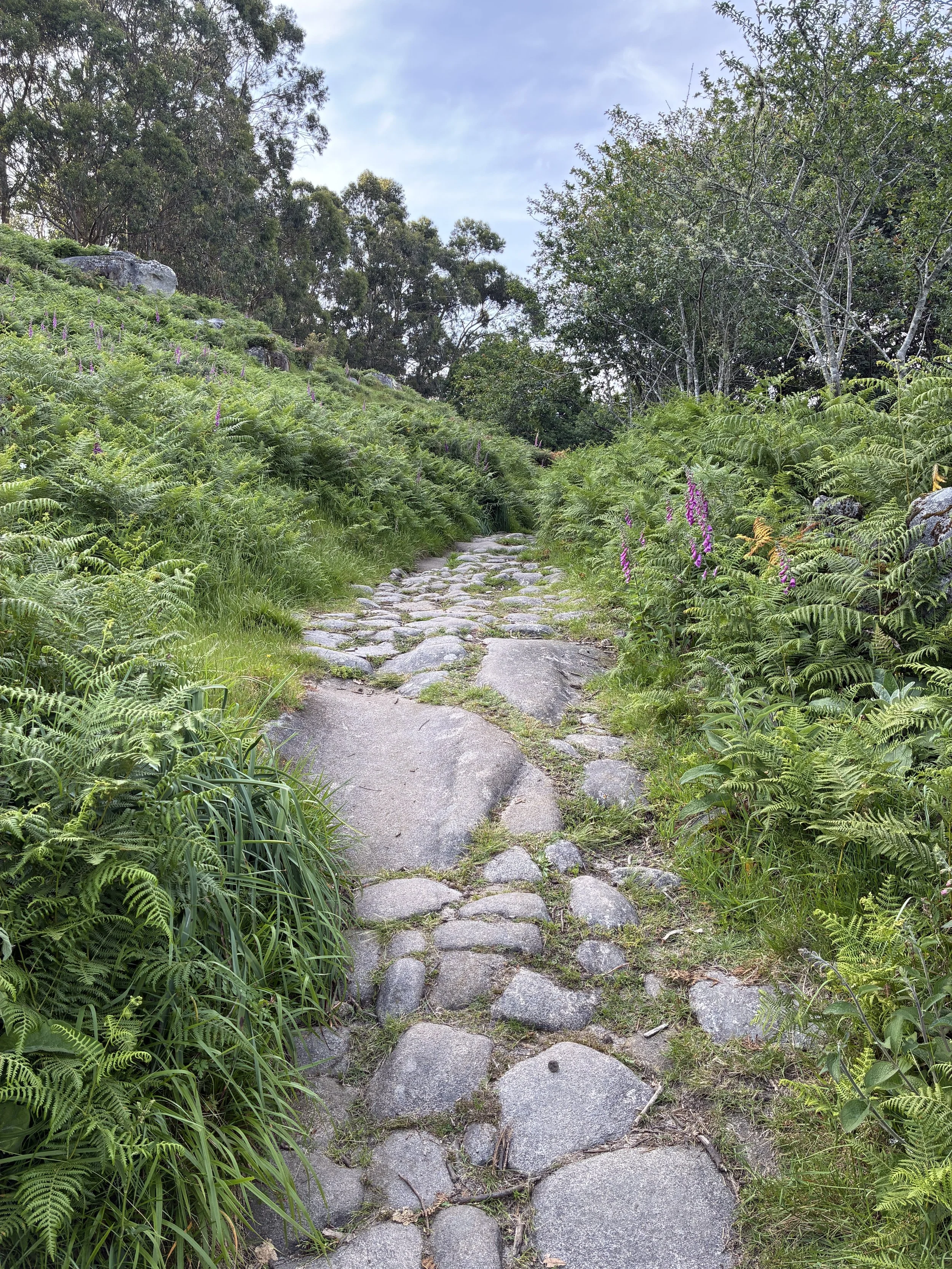 the Open Path Session