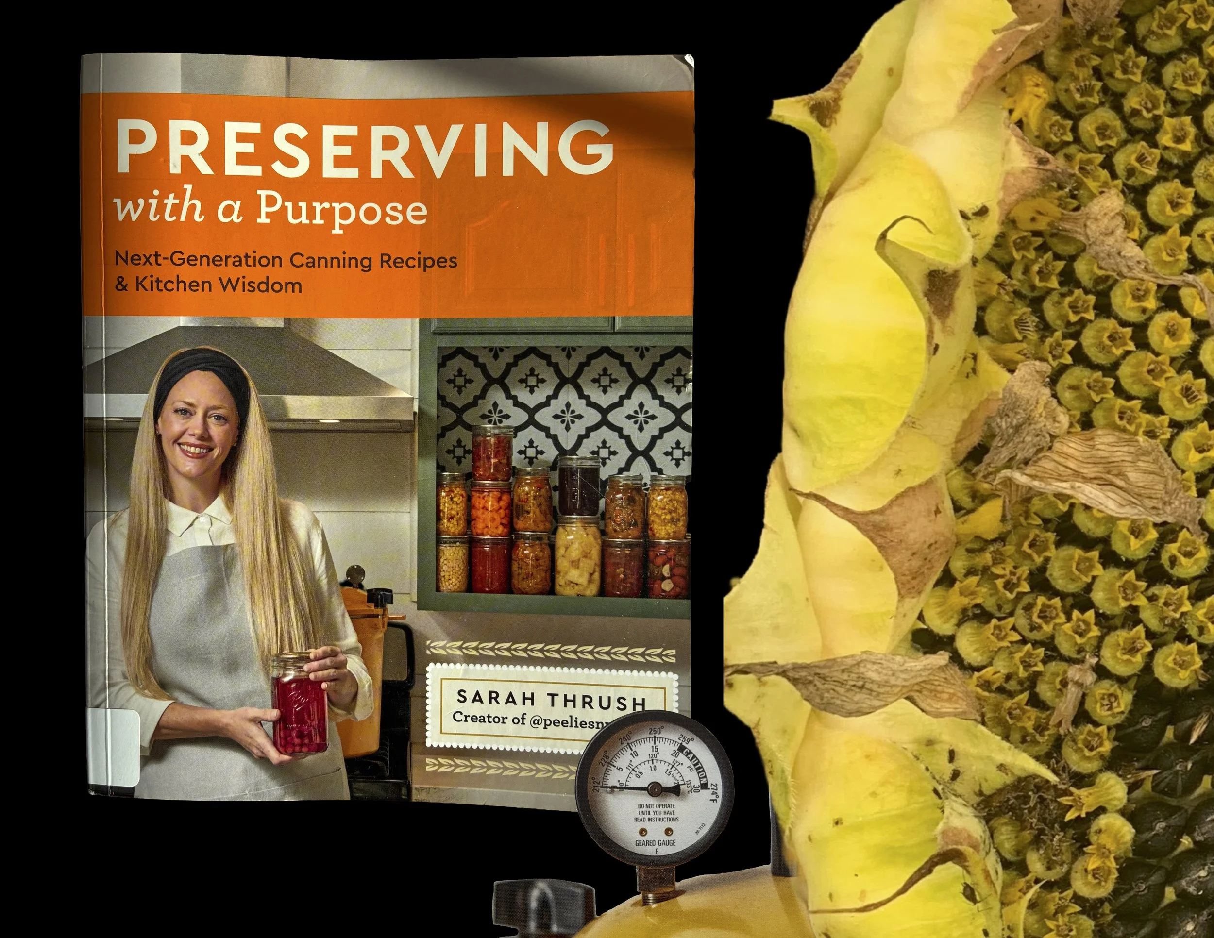 Page 188, Preserving with a Purpose