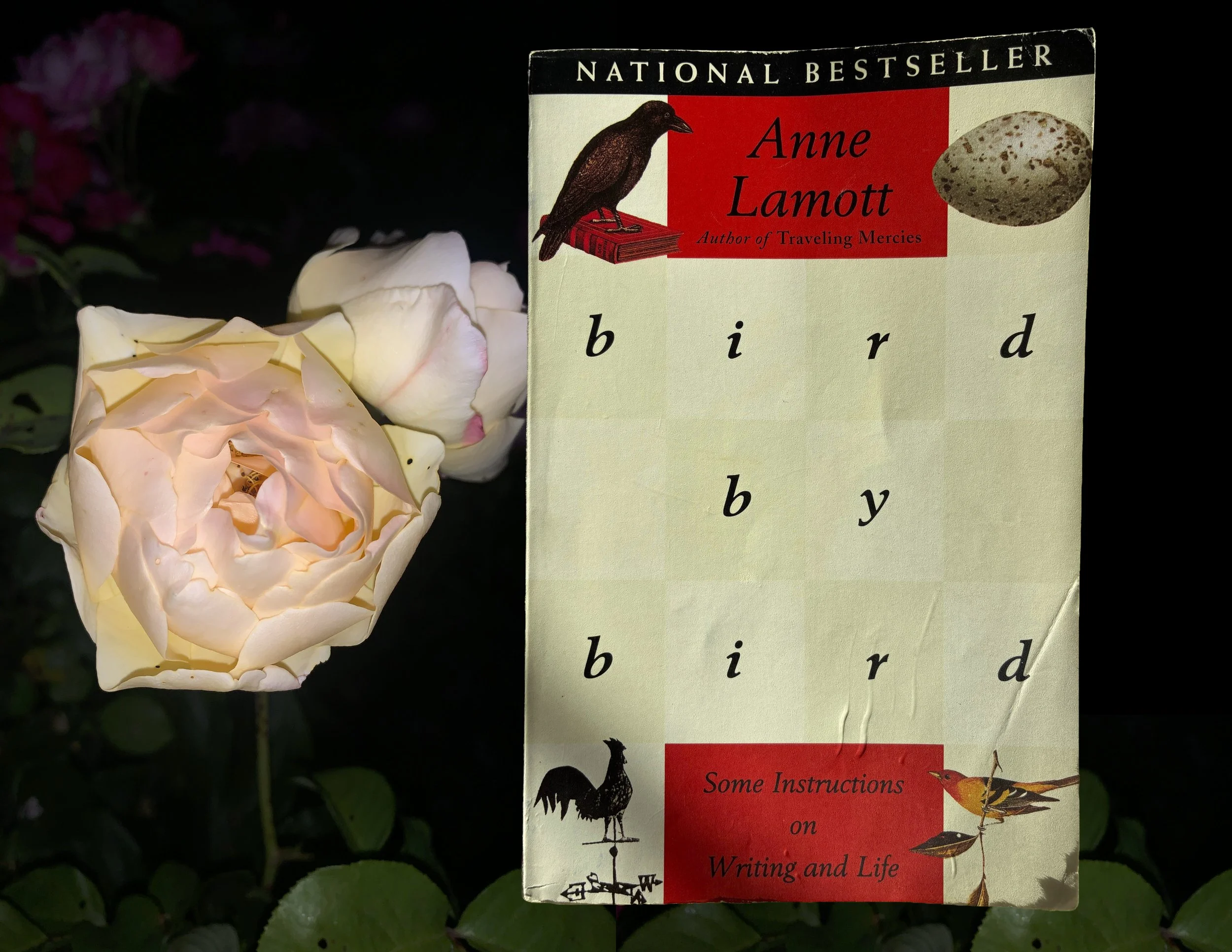 Page 168, Bird by Bird: Some Instructions on Writing and Life