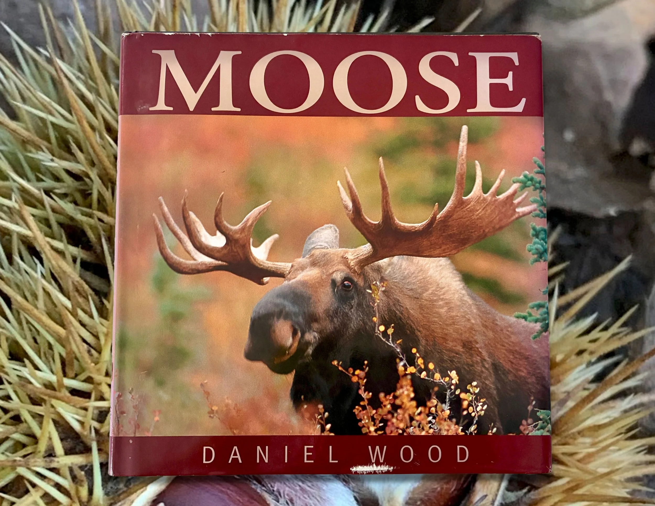 Page 99, MOOSE