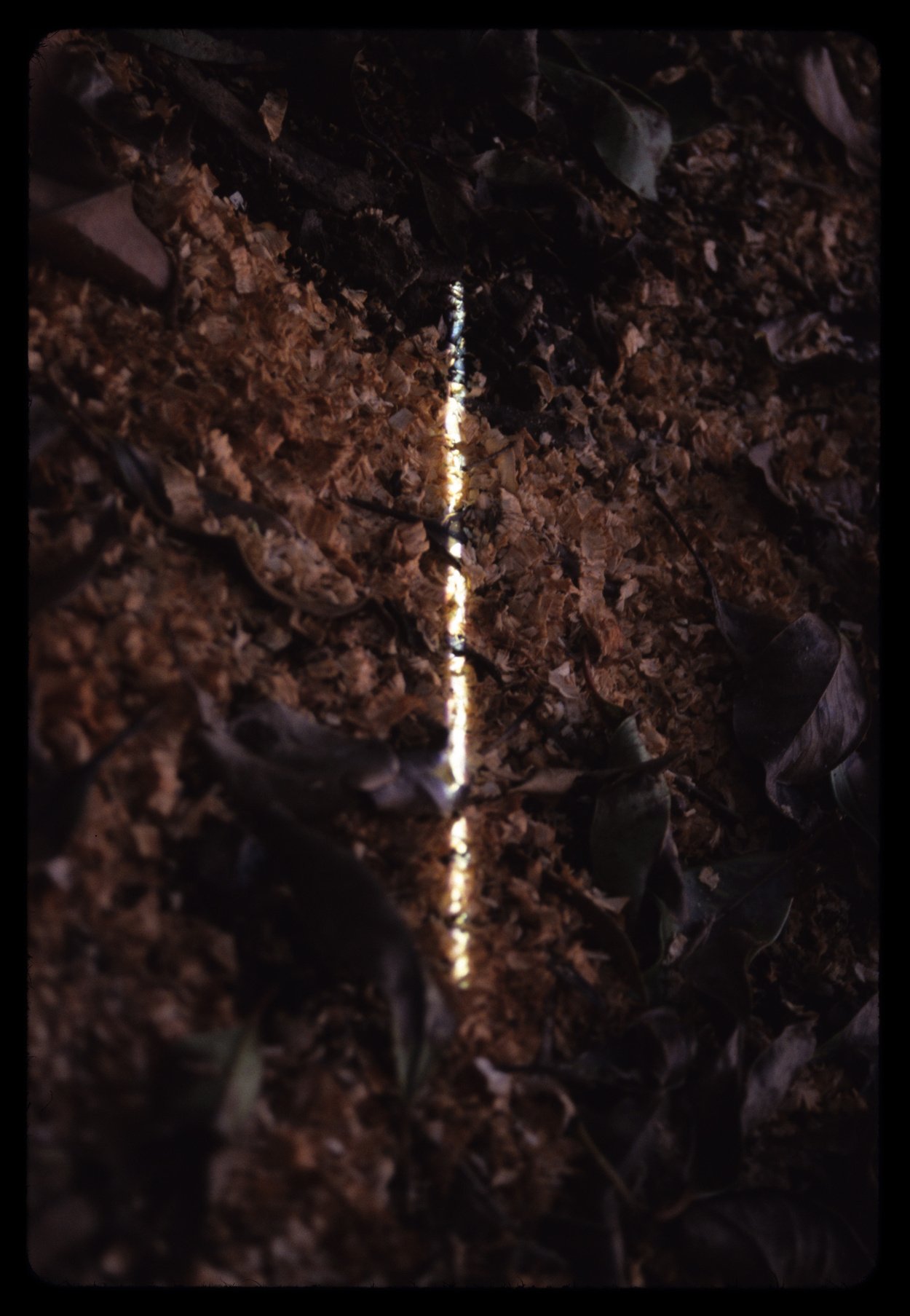 Line_Mark_4.jpg