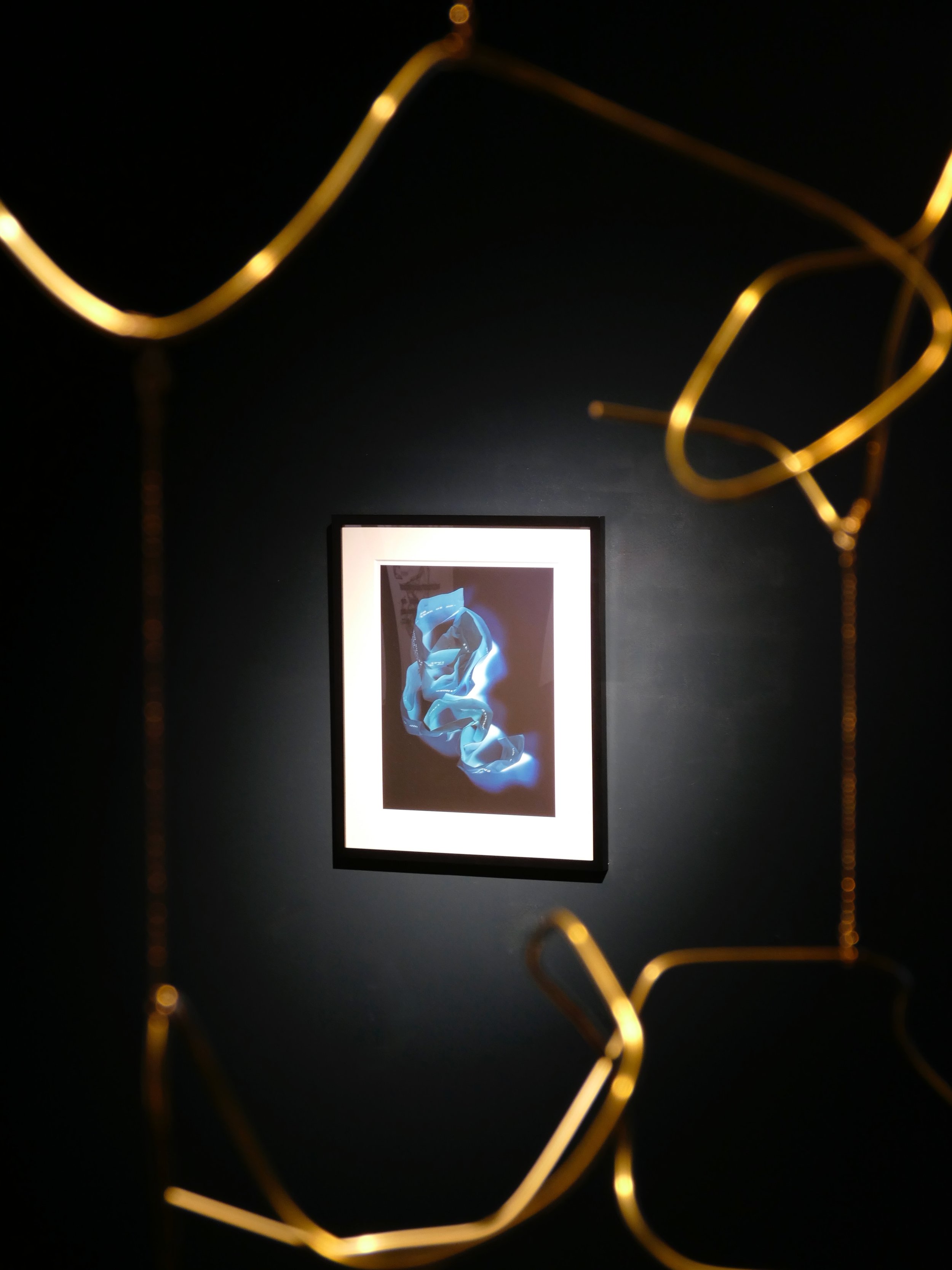 installation view, Modern Usage, LOWW Gallery, Tokyo, 2025