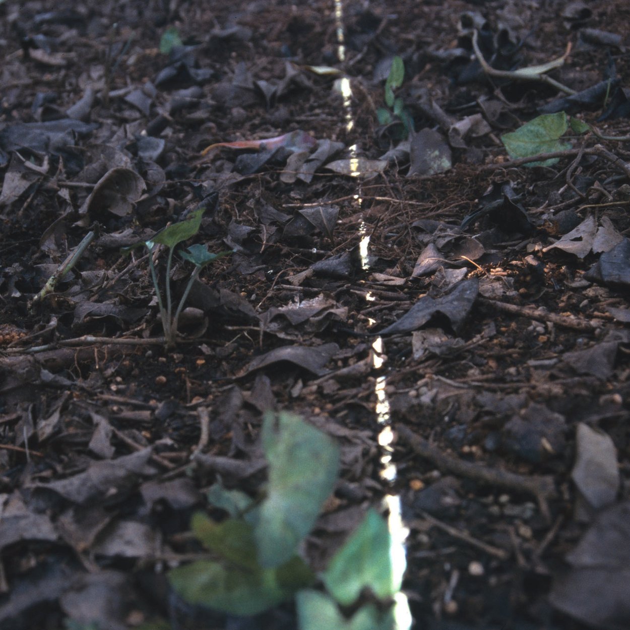 inflection_07.jpg