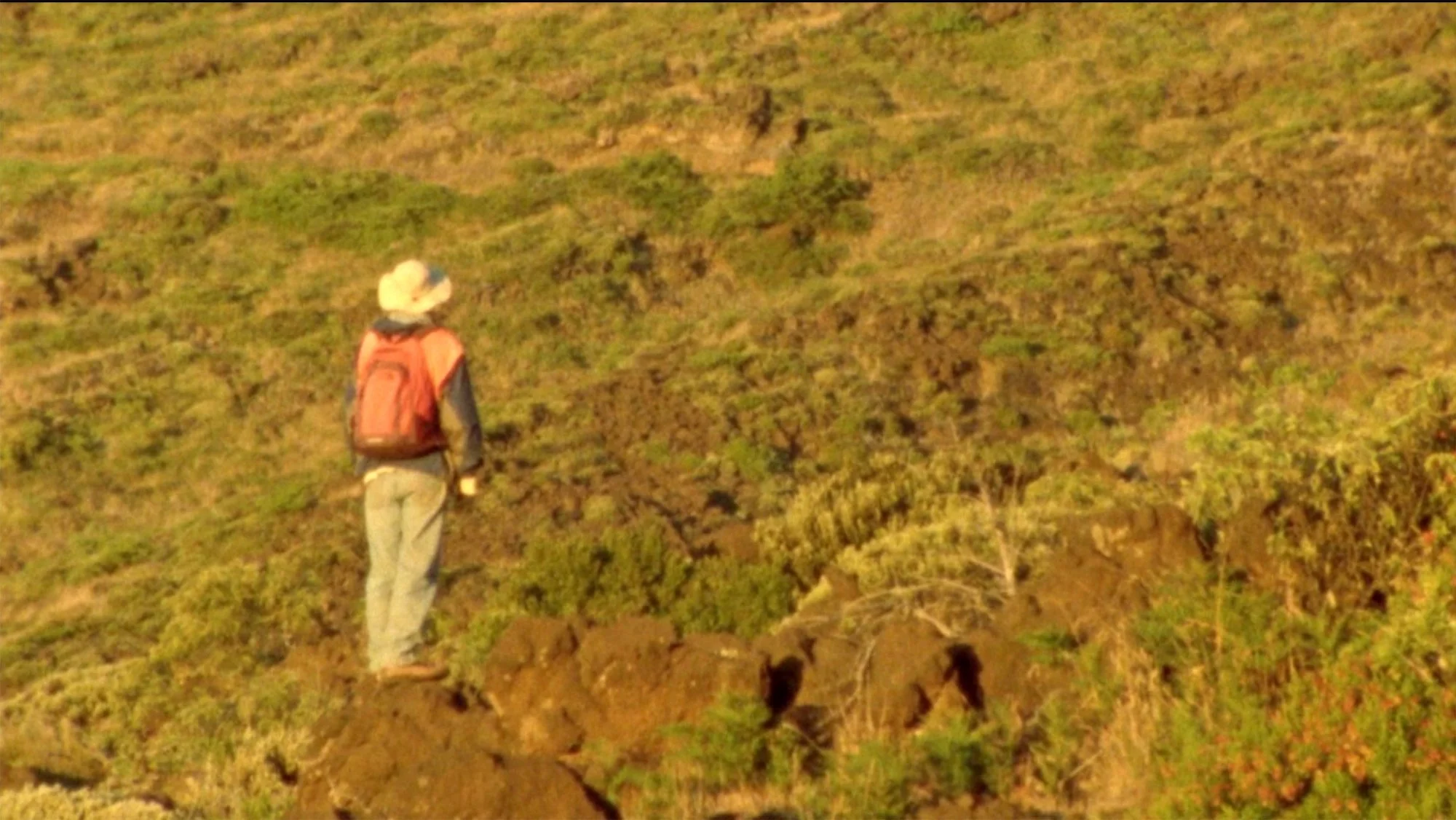 The Transect still 03.jpg
