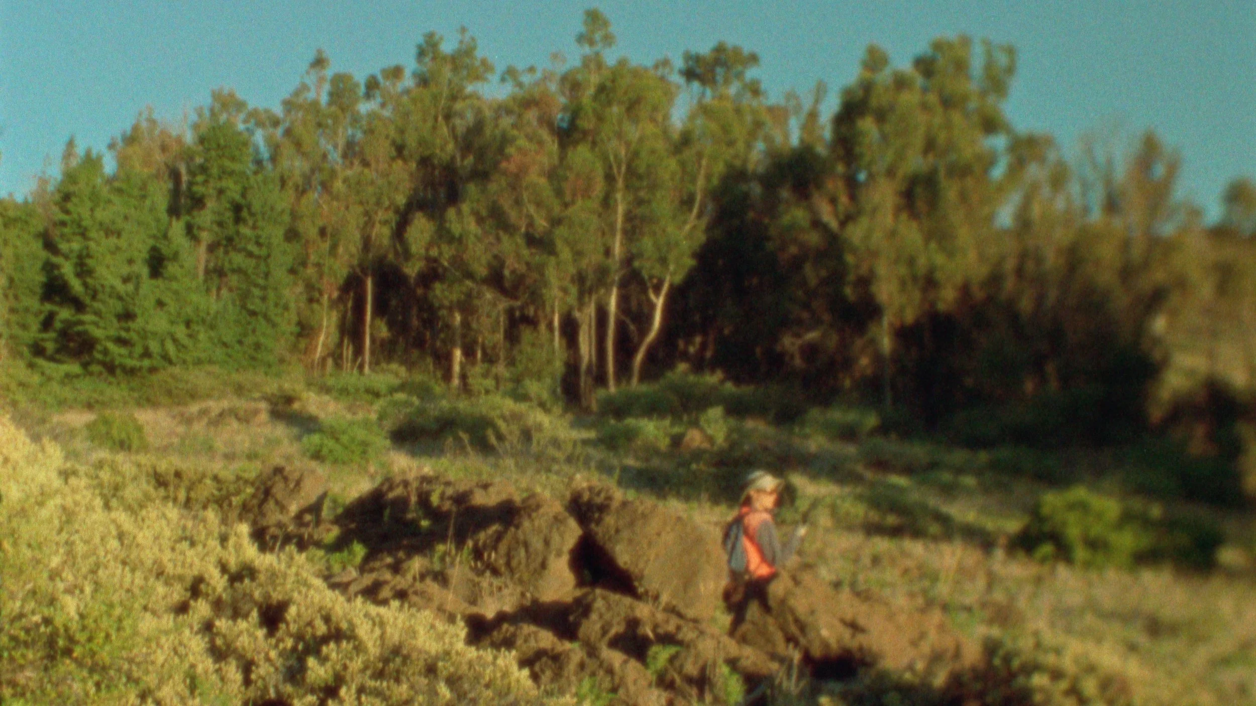 The Transect still 5.jpg
