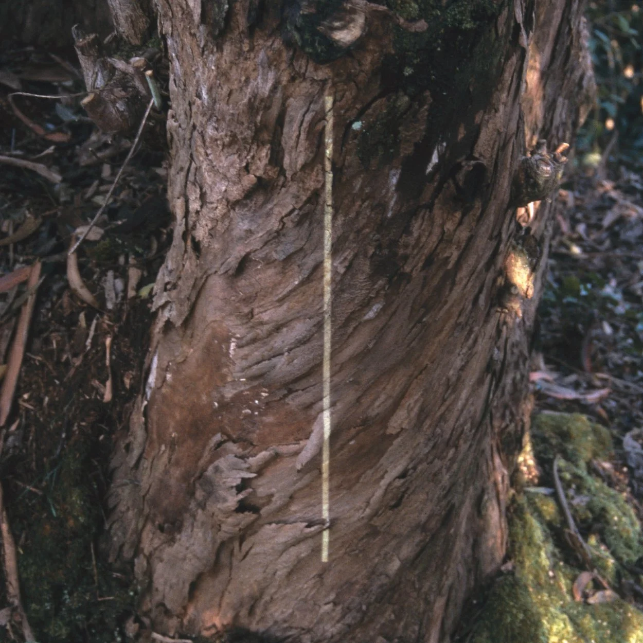 inflection_08.jpg