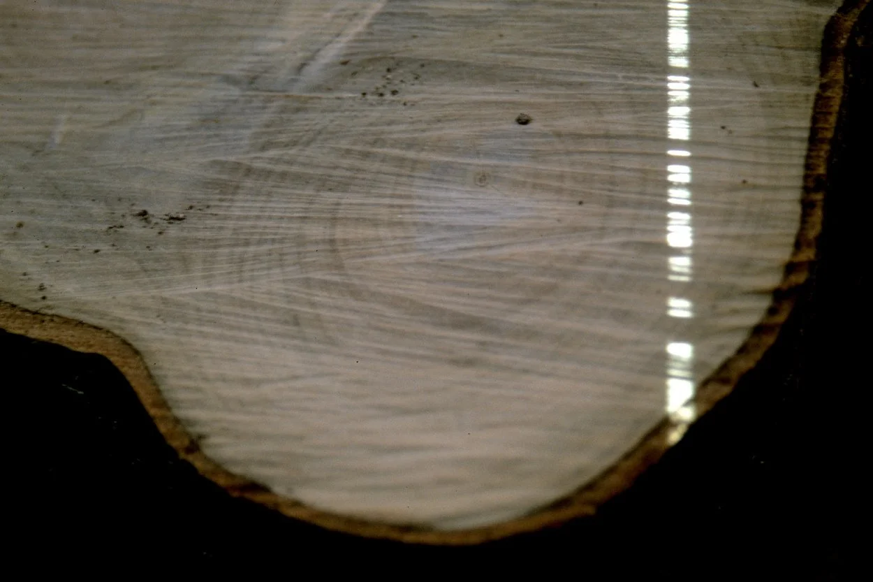 Untitled (inflections)