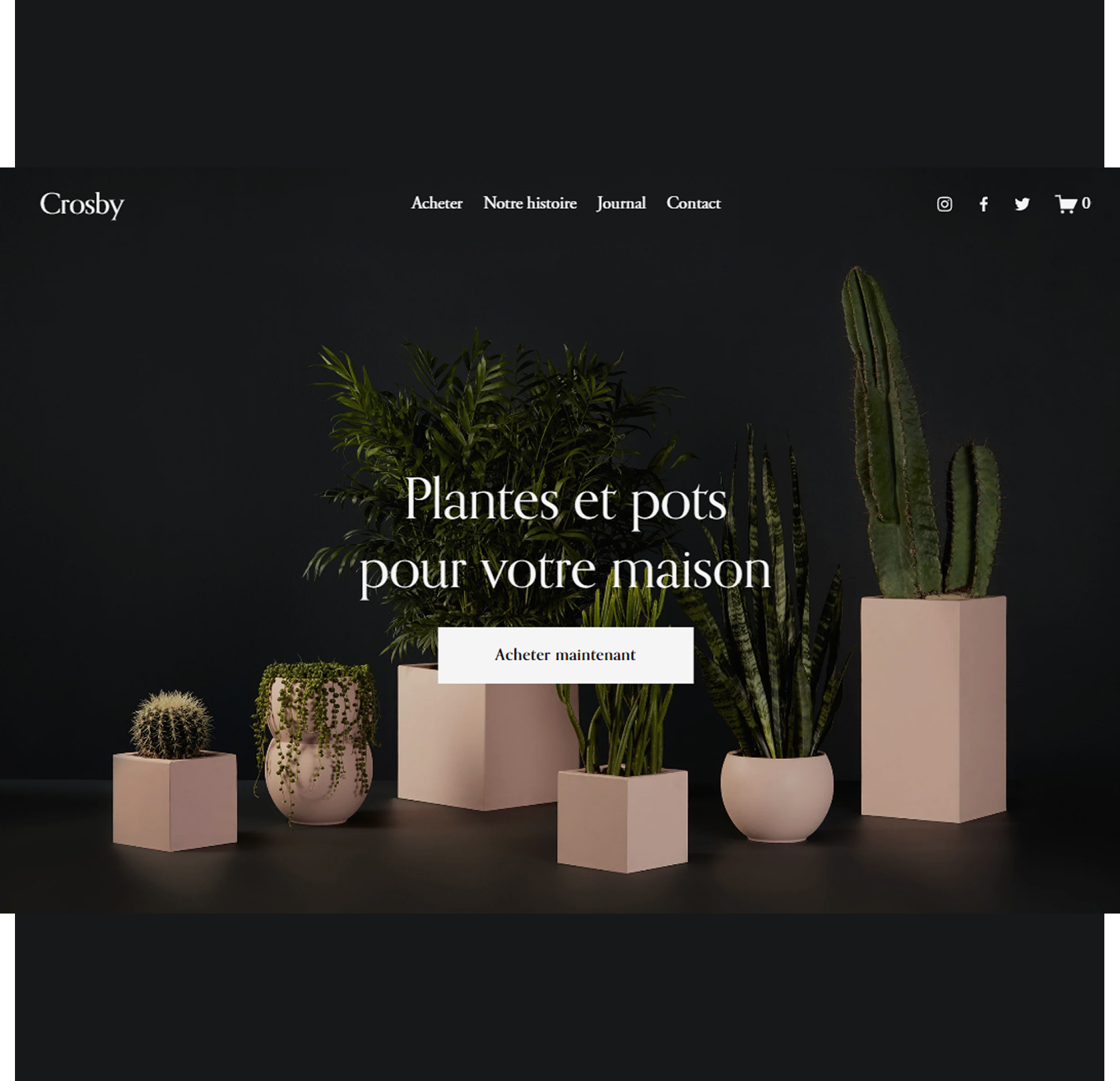Page d'accueil d'un site web de vente de plantes et pots pour la maison, avec plusieurs plantes en pot de différentes tailles sur fond noir.