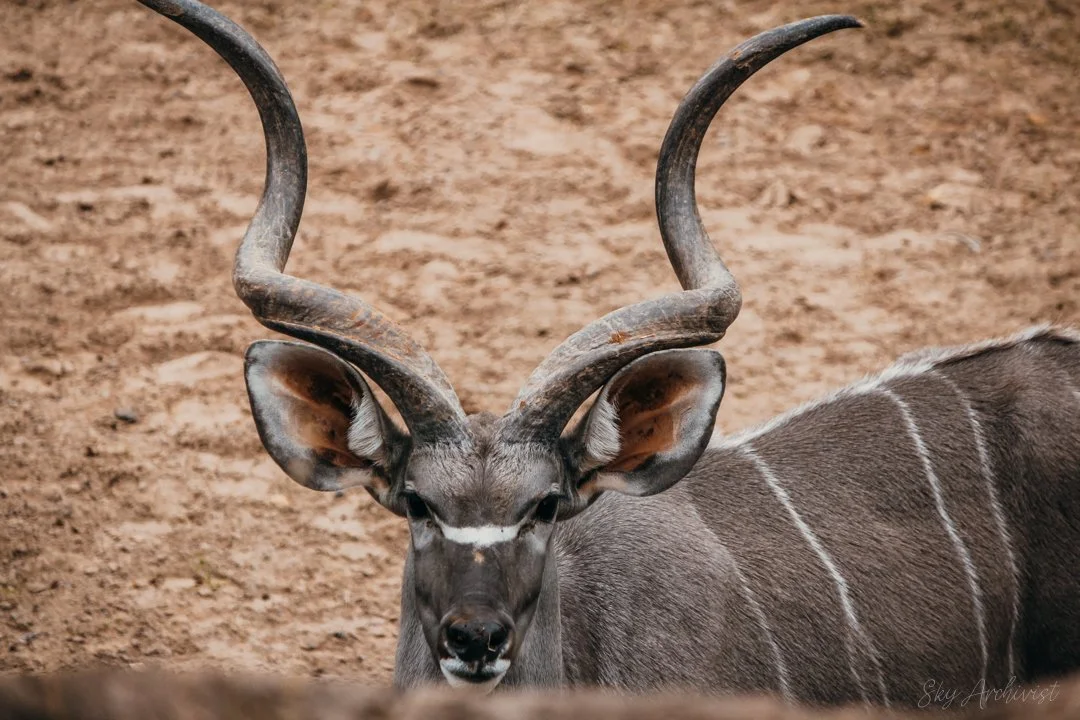 Whats_Gnu-2.jpg