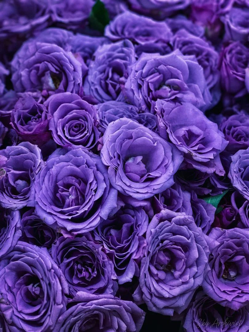 3485BA44A13D5DFED80494573C8763B5288CC2683EA8B9578B49D802C5C56A95-2.jpg