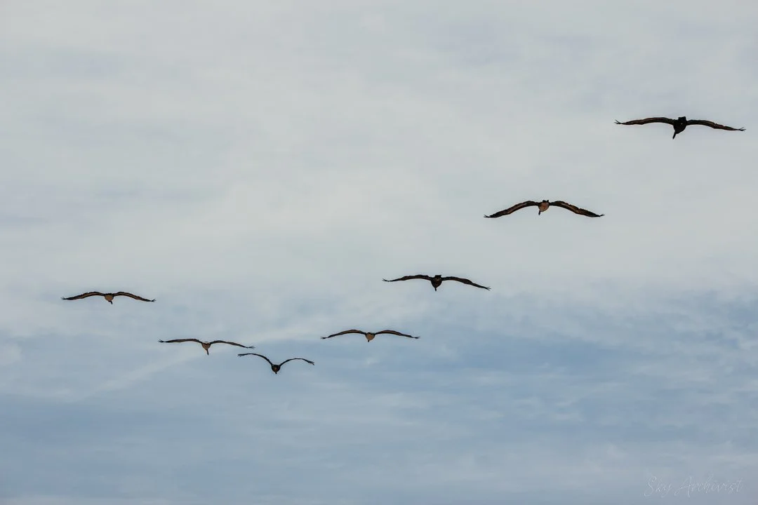 IMG_5545.jpg