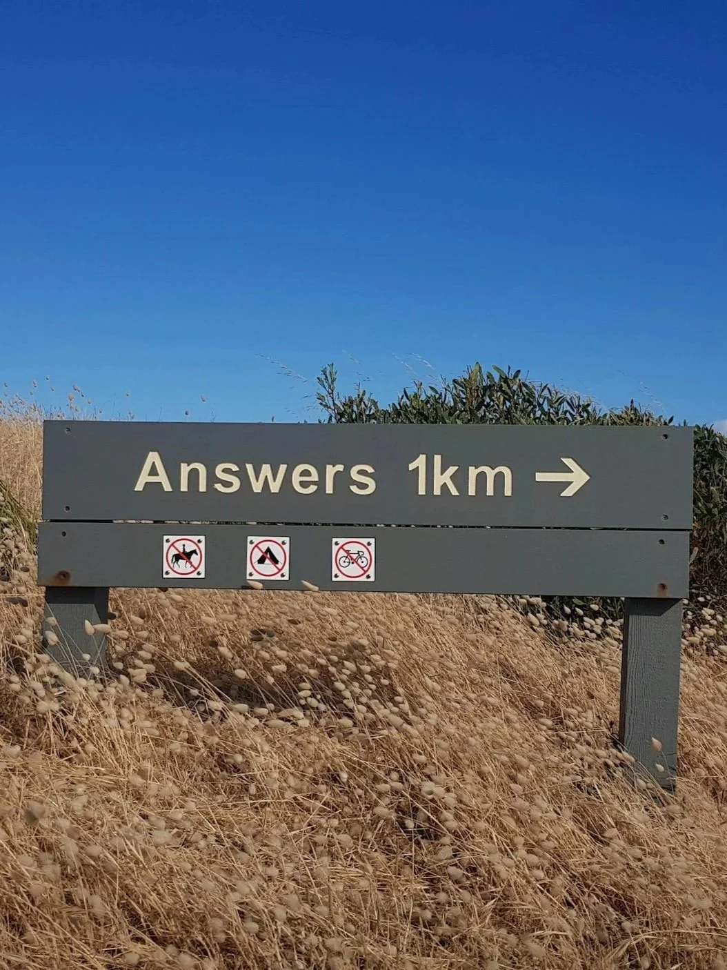 Road sign indicating that answers are 1 kilometer ahead to the right, with symbols prohibiting dogs, horses, and bicycles.