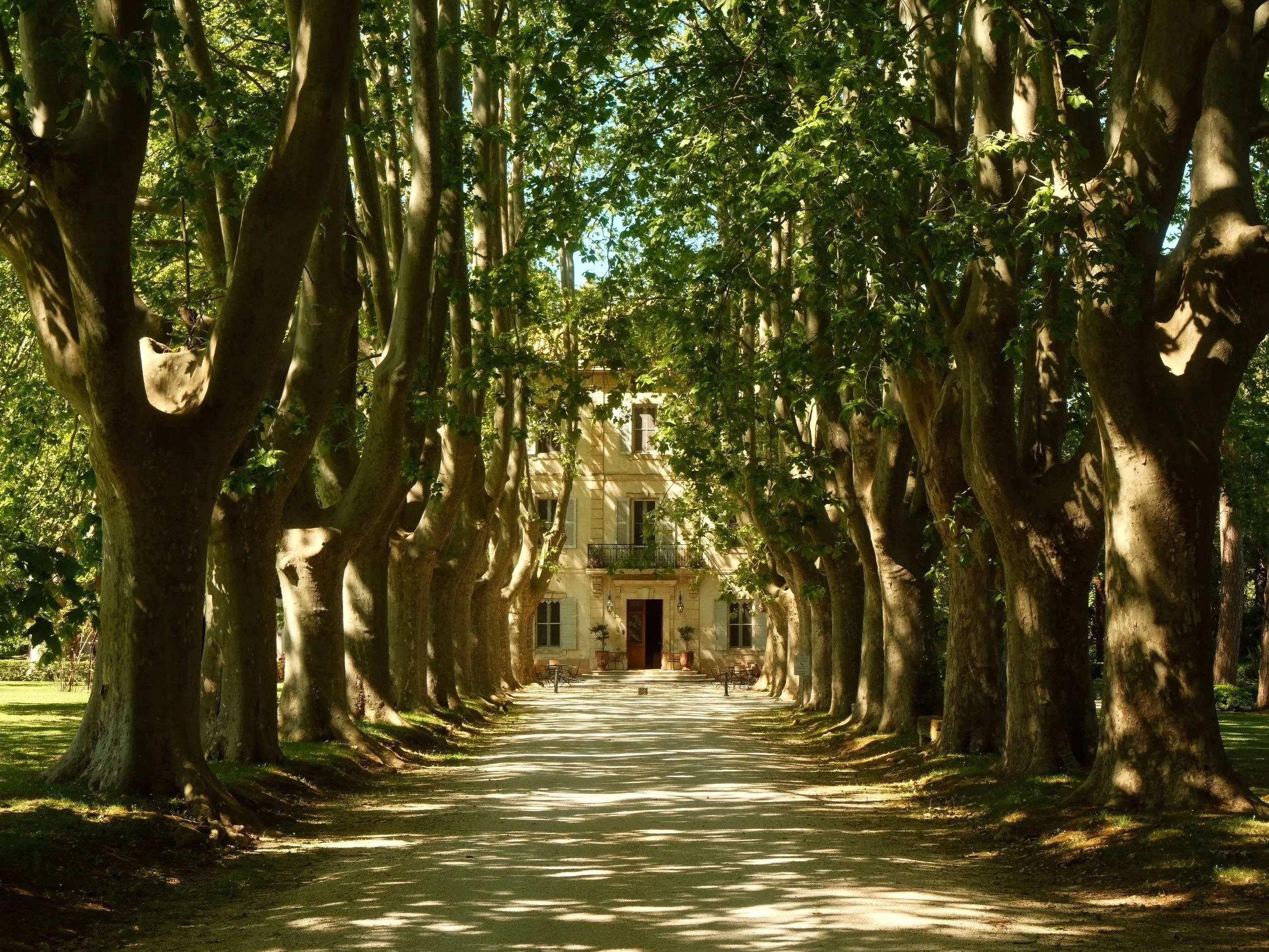 Le Château des Alpilles — Luxe en Provence