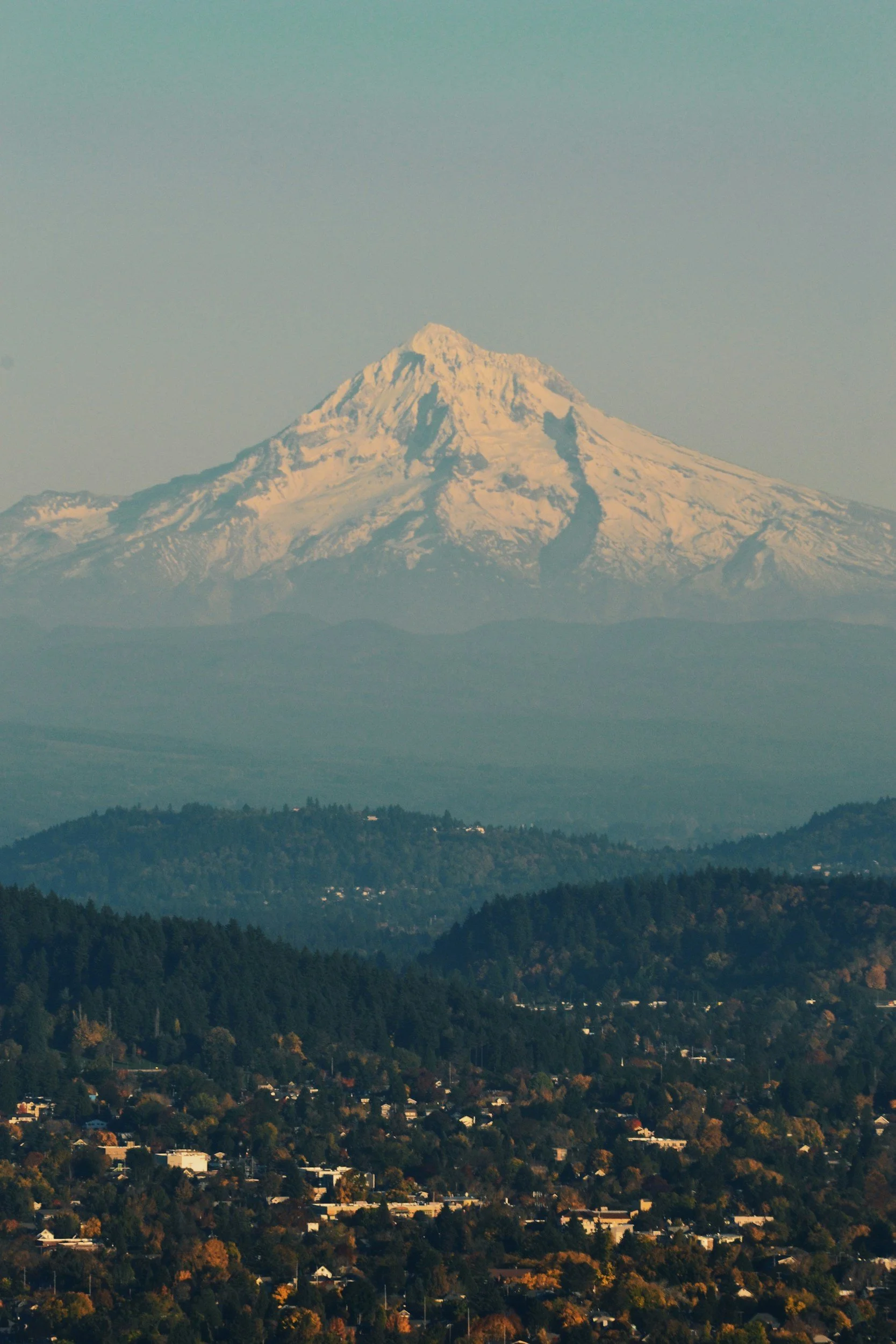 Snow-capped mountain in the distance with a small town and forest in the foreground.