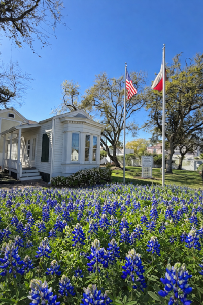 The Cradle - birthplace of DRT-- with large windows and front steps, surrounded by a garden with bluebonnets, under a clear blue sky with two flagpoles flying the American and Texas flags