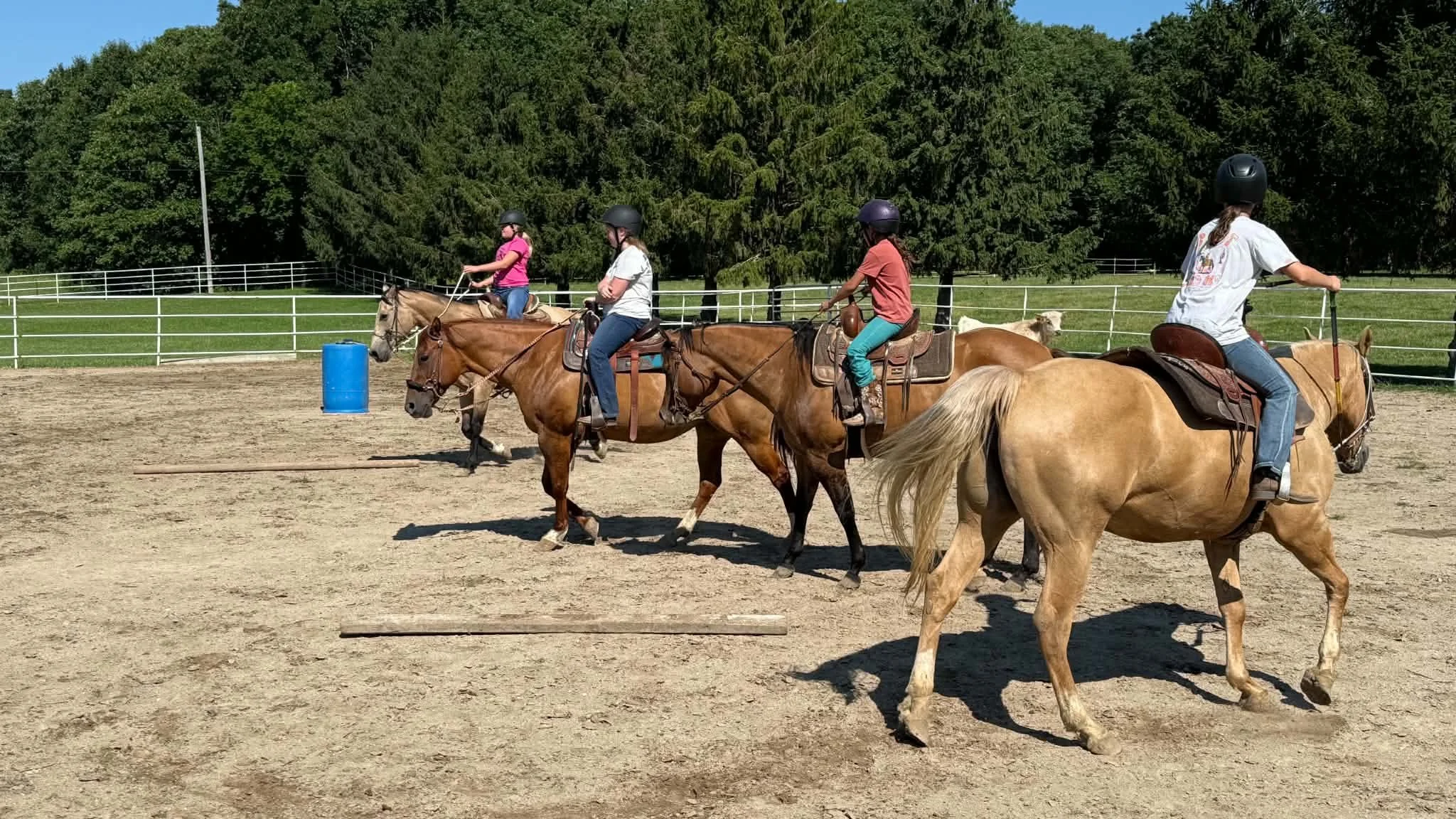 Four people riding horses in an outdoor riding arena with green trees and a bright blue sky in the background.