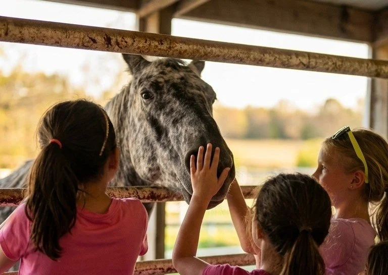 Three young girls petting a gray and black spotted horse through a stable fence.