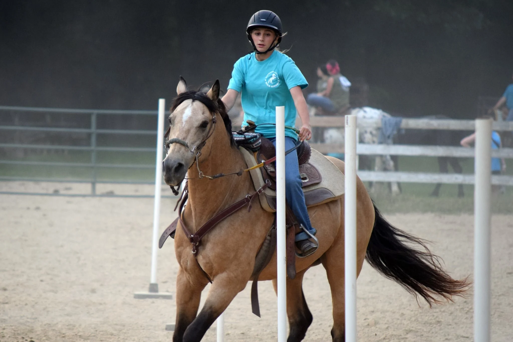 A young girl riding a brown horse with a black mane through an equestrian agility course with sticks and poles set vertically in an outdoor arena.