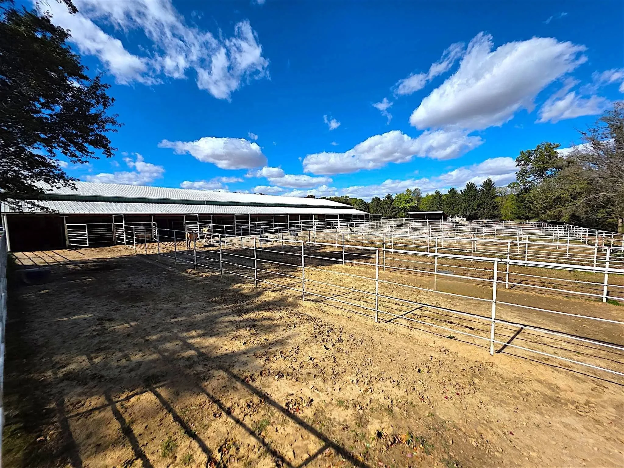 Outdoor scene with a farm or ranch area featuring a large building, fenced enclosures, a few horses, and trees under a bright blue sky with white clouds.