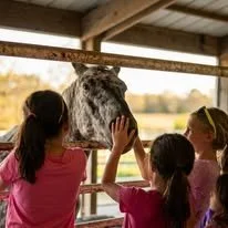 Three children petting a gray horse inside a barn with sunlight outside.