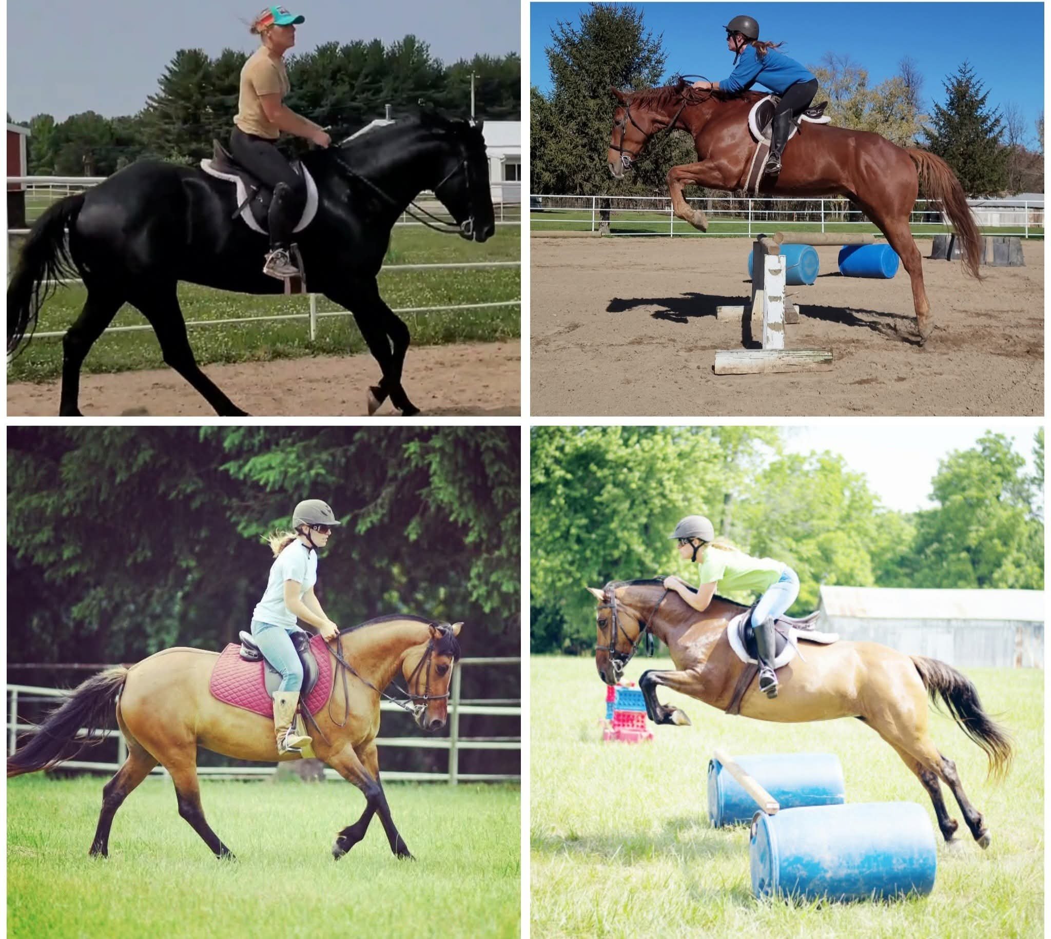 Four females riding horses in different outdoor settings and activities. Top left: woman riding a black horse on a farm. Top right: woman galloping over a jump on a brown horse during an equestrian event. Bottom left: woman riding a palomino horse in
