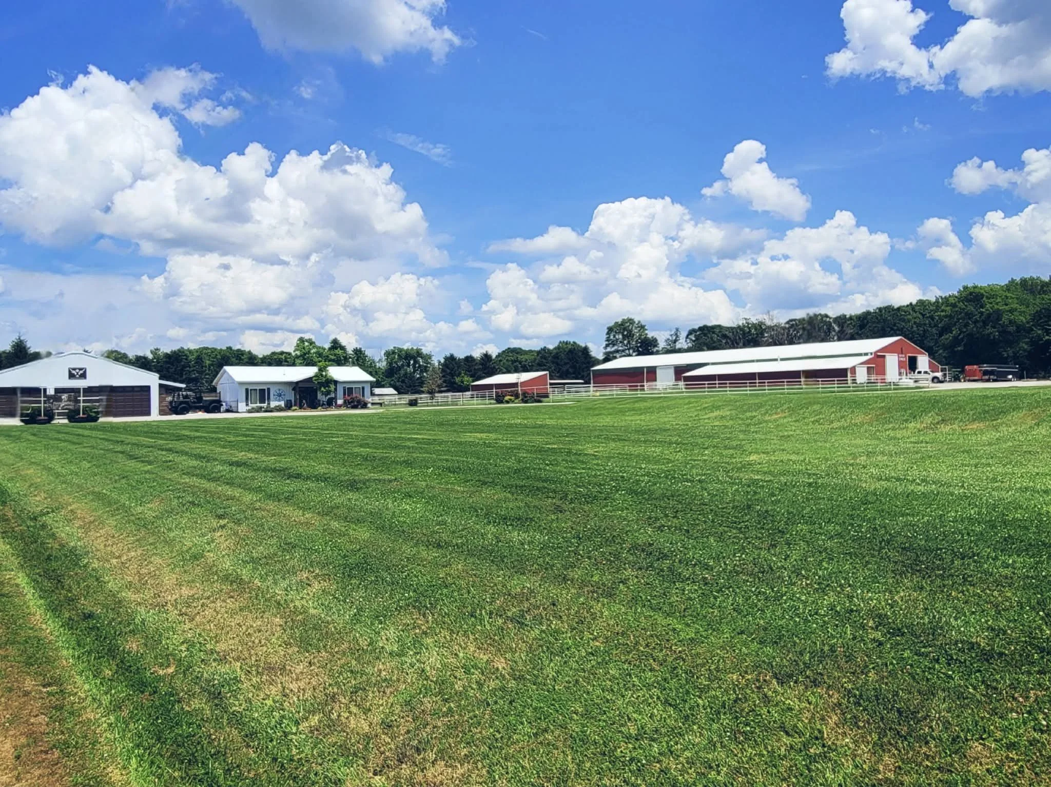 A farm scene with a large grassy field, farm buildings including barns and sheds, trees in the background, and a bright blue sky with scattered clouds.