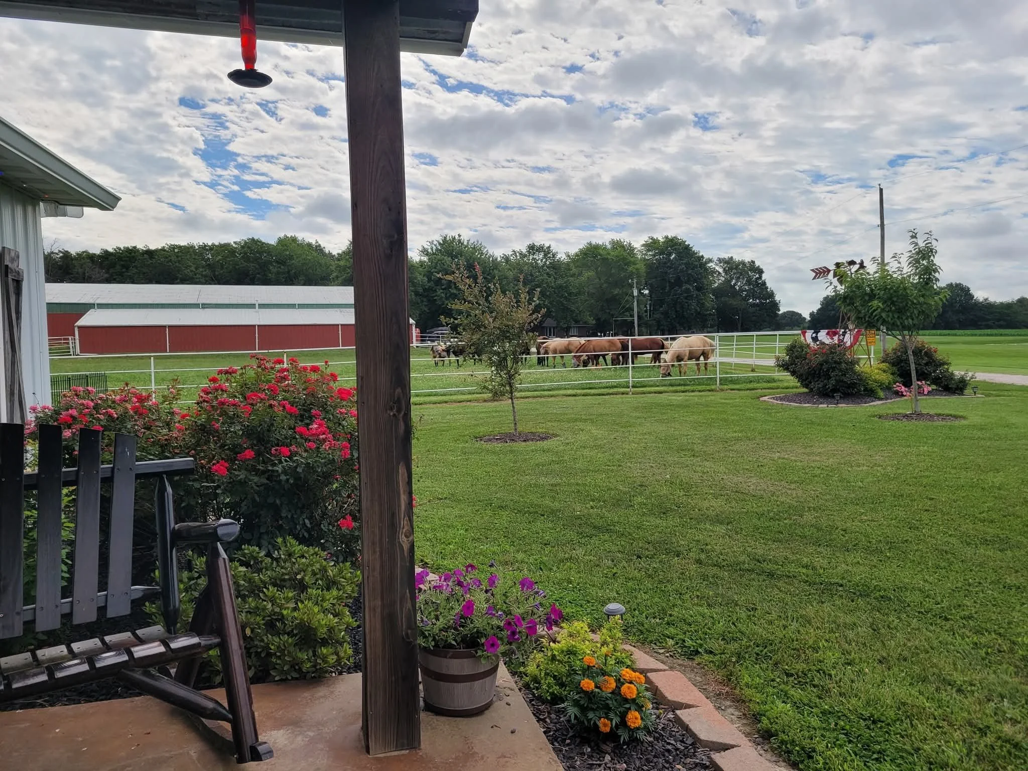 View of a backyard with a flower garden, a metal and wooden bench, and a white fence enclosing a pasture with horses. In the background, there is a barn and trees under a cloudy sky.