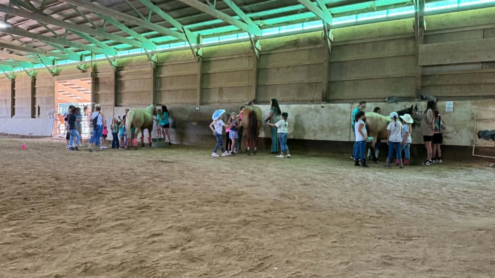 Children and adults feeding and interacting with horses in an indoor stable area with a high ceiling and wooden walls.